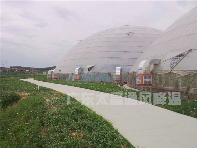 溫室大棚通風降溫設(shè)備
