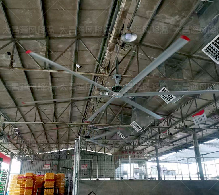工業(yè)大風(fēng)扇廠(chǎng)家.jpg