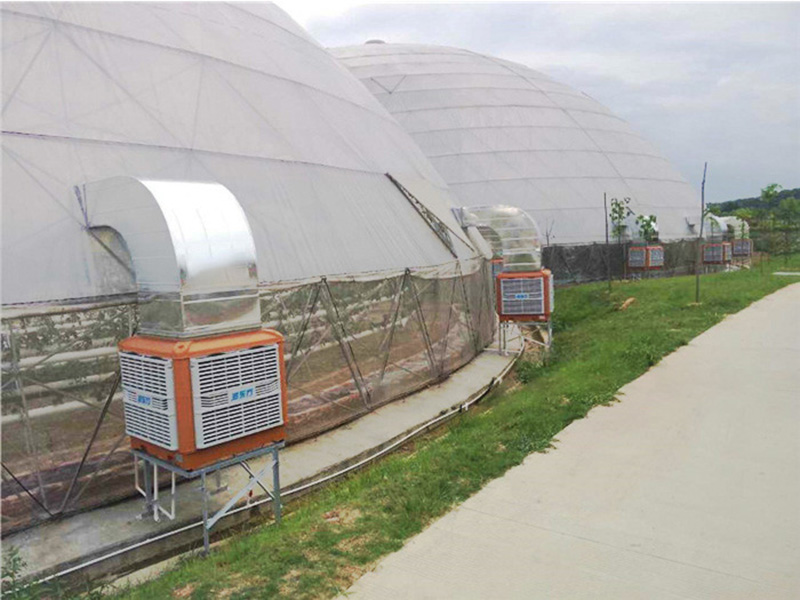 溫室大棚通風(fēng)降溫設(shè)備|潤(rùn)東方環(huán)?？照{(diào)