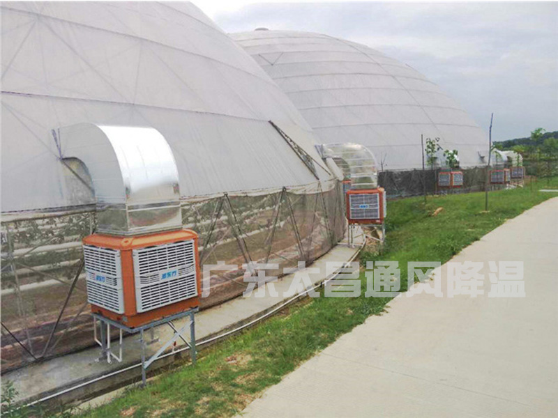溫室大棚通風降溫設(shè)備