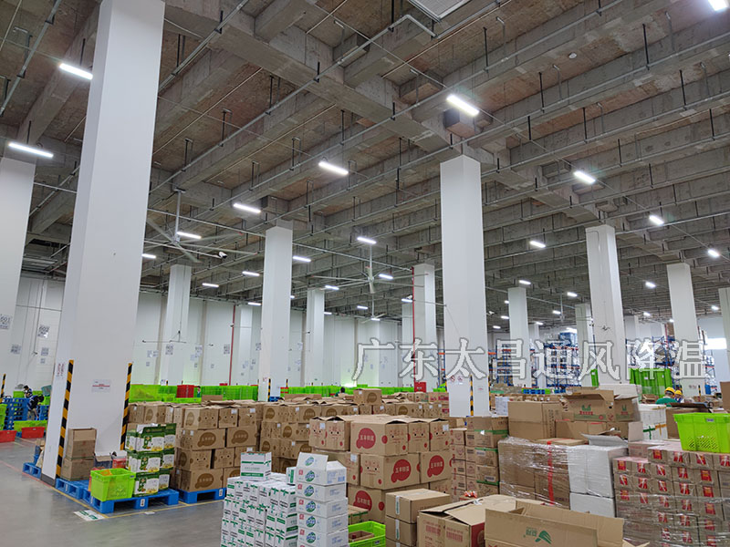 工業(yè)大風扇價格2